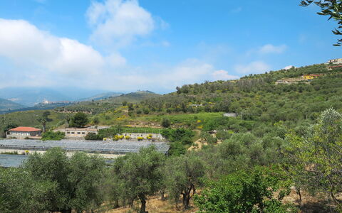 Poggi 624: Nuage, Ciel, Plante, Montagne, Environnement Naturel, Paysage Naturel, Lot Terre, Arbre, Herbe, Cumulus