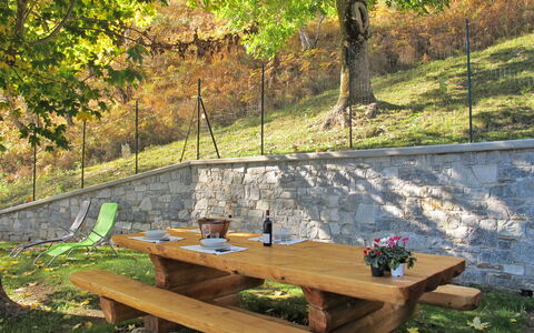 La Tana del Lupo: Plante, Table, Meubles, Communauté Des Plantes, La Nature, Tableau De Plein Air, Feuille, Arbre, Bois, Table De Pique-Nique