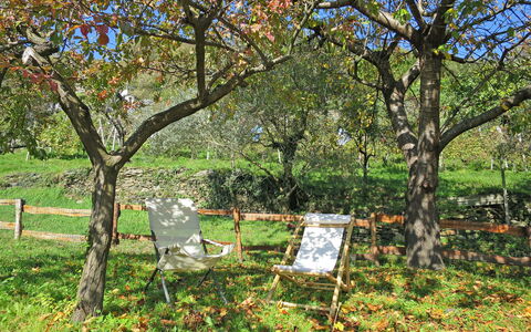 Baita Anita: Plante, Communauté Des Plantes, Arbre, Botanique, Paysage Naturel, Fleur, Lot Terre, Herbe, À Feuilles Caduques, Couverture De Sol