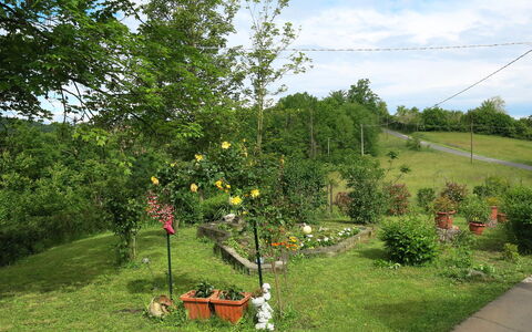 Il Cavaliere: Arbre, Plante, Suppression Des Plantes Ligneuses, Lot Terre, Herbe, Jardin, Printemps, Zone Rurale, Arbuste, Prairie