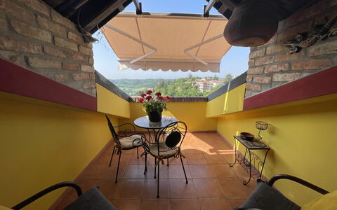 Il Ghiro: Meubles, Plante, Table, Bâtiment, Chaise, Ombre, Plante D'Appartement, Maison, Bois, Sol
