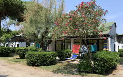 Logement:&nbsp;Bungalow 651.1