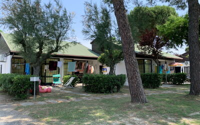 Logement:&nbsp;Bungalow 651.1