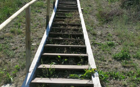 Roseto degli Abruzzi 620: Escaliers, Passerelle, Herbe, Arbre, Boardwalk, Communauté Des Plantes, Plante, Structure De Nonbuilding