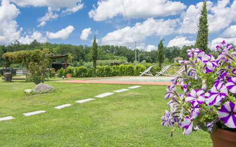 Daussiè: Jardin, Herbe, Jour, Ciel, Pelouse, Fleur, Plante, Botanique, Printemps, Arbre