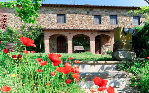 Agrumi: Fleur, Plante, Bâtiment, Communauté Des Plantes, Fenêtre, Paysage Naturel, Arbre, Lot Terre, Maison, Pétale