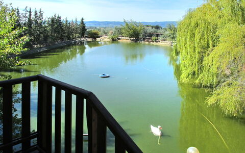 Certaldo 653: L'Eau, La Nature, Paysage Naturel, Ressources En Eau, Lac, Vert, Réserve Naturelle, Environnement Naturel, Étang, Rivière