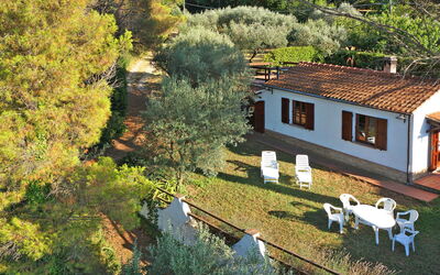 location de vacances Ulivo - Montescudaio, Toscane, Italie