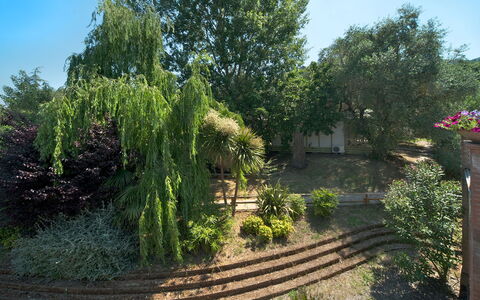 Camping Village Il Fontino: Végétation, Arbre, Jardin, Cour, Propriété, Plante, Herbe, Botanique, Arbuste, Suppression Des Plantes Ligneuses