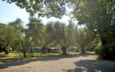 Camping Village Il Fontino