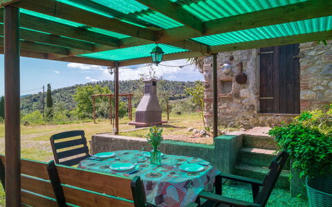 Valmarinella: Plante, Propriété, Meubles, Vert, Pot De Fleur, Table, Chaise, La Nature, Botanique, Ombre