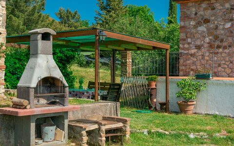 Valmarinella: Ciel, Plante, Propriété, Arbre, Pot De Fleur, Bâtiment, Architecture, Biome, Herbe, Bois