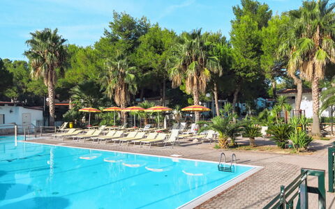 Vieste 612: Piscine, Propriété, Recours, Loisir, Immobilier, Vacances, Bâtiment, Maison, Hôtel, Arbre