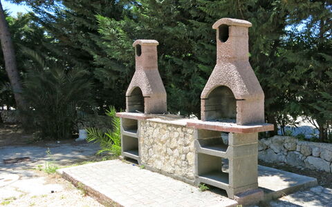 Vieste 612: Arbre, Sculpture, Bois, Plante, Site Historique, Roche