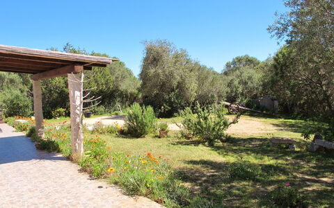 Stazzu Mendola: Propriété, Paysage Naturel, Jardin, Immobilier, Réserve Naturelle, Cour, Arbre, Herbe, Botanique, Jardin Botanique