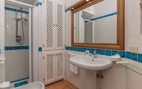 Mimosa: Miroir, Robinet, Luminaire Plomberie, Évier, Lavabo, Propriété, Tete De Douche, Salle De Bains, Vert, Bleu Azur