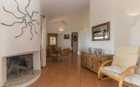 Mimosa: Cadre, Meubles, Plante, Table, Bâtiment, Bois, Design Intérieur, Sol, Sol, Maison