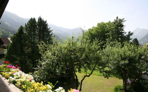Klocker: Fleur, Ciel, Plante, Communauté Des Plantes, Montagne, Vert, Paysage Naturel, Arbre, Herbe, Loisir