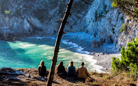 Le Vieux Chêne: L'Eau, Plante, Bleu Azur, Branche, Paysage Naturel, Bois, Lumière Du Soleil, Tronc, Plan D'Eau, Cours D'Eau