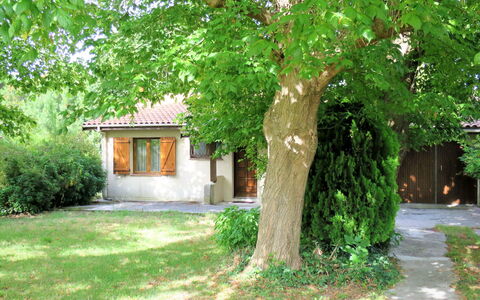 La Rose des Sables: Plante, Bâtiment, Branche, Arbre, Fenêtre, Ombre, Paysage Naturel, Lot Terre, Tronc, Paysage