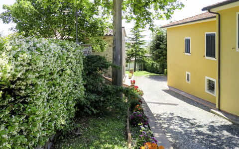 Pastina 649: Propriété, Vert, Maison, Jaune, Immobilier, Végétation, Zone Résidentielle, Domicile, Arbre, Bâtiment