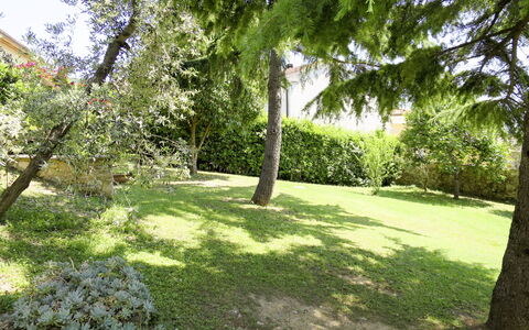 Pastina 649: Arbre, Propriété, Herbe, Pelouse, Paysage Naturel, Jardin, Cour, Botanique, Immobilier, Plante