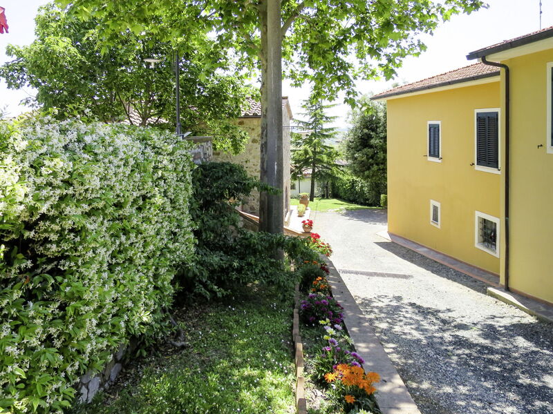 Pastina 649