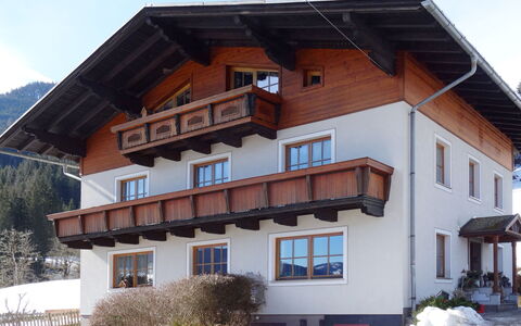 Eisenhut: Ciel, Plante, Bâtiment, Propriété, Fenêtre, Architecture, Arbre, Quartier, Bois