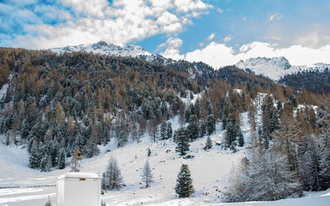 Siviez-Nendaz 649: Neige, Montagnes Relief, L'Hiver, Montagne, Arbre, Chaîne De Montagnes, Terrain, Montagnes, Station De Montagne, Glacial Relief