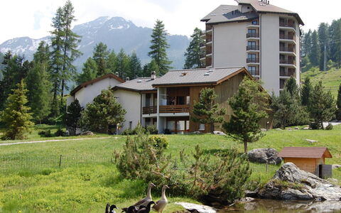 Siviez-Nendaz 649: Paysage Naturel, Propriété, Maison, Station De Montagne, Montagne, Région Sauvage, Immobilier, Domicile, Arbre, Biens