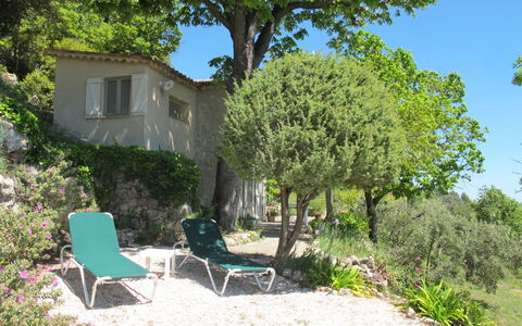 Le Cabanon: Végétation, Arbuste, Printemps, Chalet, Jardin, Ombre, Arrière-Cour, Cour, Chaise