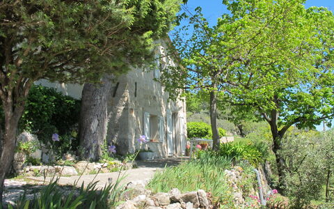 Le Cabanon: Végétation, Arbuste, Printemps, Chalet, Jardin, Ombre, Arrière-Cour, Cour, Chaise