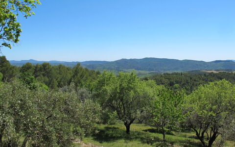 Le Cabanon: Végétation, Arbuste, Printemps, Chalet, Jardin, Ombre, Arrière-Cour, Cour, Chaise