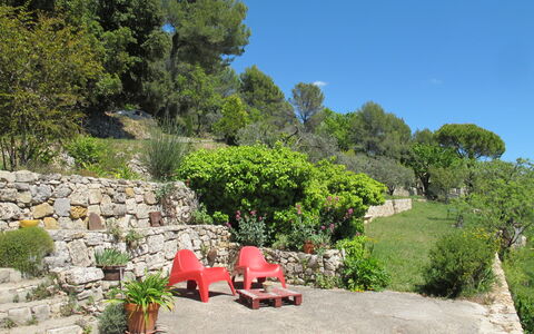 Le Cabanon: Végétation, Arbuste, Printemps, Chalet, Jardin, Ombre, Arrière-Cour, Cour, Chaise