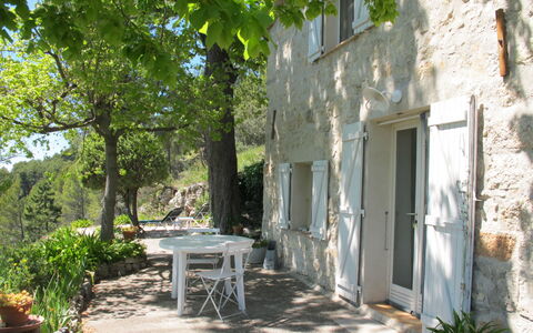 Le Cabanon: Végétation, Arbuste, Printemps, Chalet, Jardin, Ombre, Arrière-Cour, Cour, Chaise