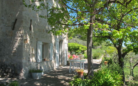 Le Cabanon: Végétation, Arbuste, Printemps, Chalet, Jardin, Ombre, Arrière-Cour, Cour, Chaise