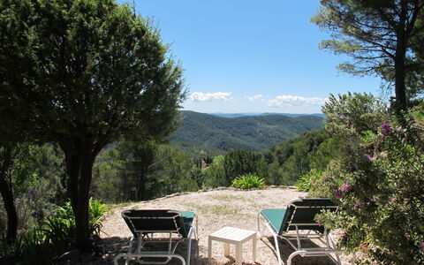 Le Cabanon: Végétation, Arbuste, Printemps, Chalet, Jardin, Ombre, Arrière-Cour, Cour, Chaise