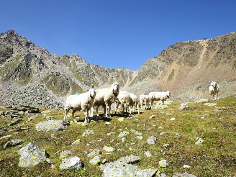 Sölden 731