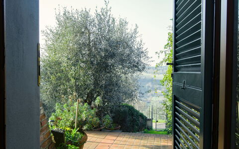 Torre di Meo: Plante, Propriété, Ciel, Ombre, Végétation, Lumière Du Soleil, Herbe, Mur, Rectangle, Immobilier