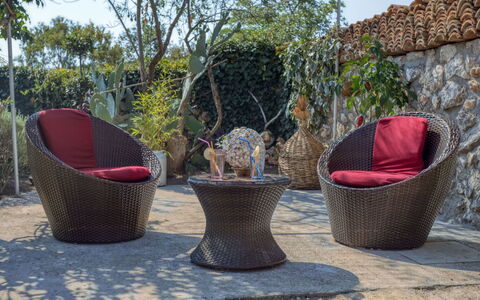 Maria: Osier, Pot De Fleur, Arbre, Botanique, Meubles, Plante, Chaise, Loisir, Arbuste, Jardin