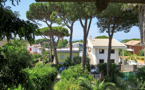 Gli Oleandri: Propriété, Végétation, Maison, Immobilier, Zone Résidentielle, Domicile, Bâtiment, Arbre, Quartier, Architecture