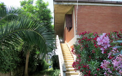location de vacances Gli Oleandri - Anzio, Latium, Italie