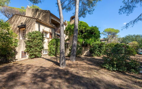 Alsabreizh: Plante, Ciel, Bâtiment, Arbre, Lot Terre, Fenêtre, Chalet, Paysage, Herbe, Arecales