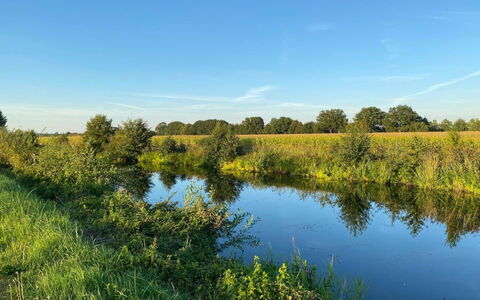 Am Park: Ciel, Bleu, Ressources En Eau, L'Eau, Vert, Plan D'Eau, Paysage Naturel, La Nature, Environnement Naturel, Herbe