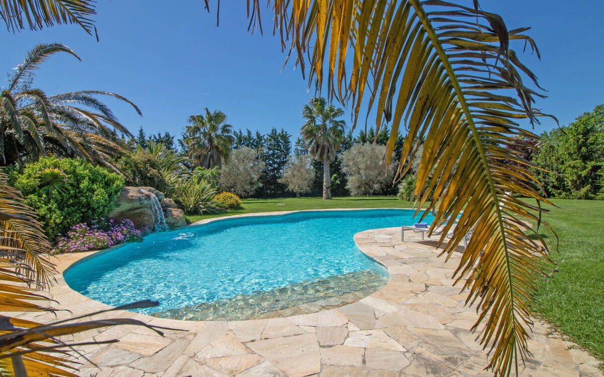 Oasis