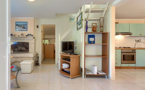 Lavanda: Cabinetry, Plante D'Appartement, Étagère, Rayonnage, Design Intérieur, Électroménager, Tiroir, Bois, Cuisine, Sol