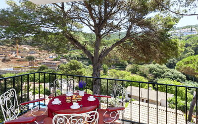 S'Olivera Nº5 603.5: Plante, Propriété, Meubles, Table, Vaisselle, Bâtiment, La Nature, Arbre, Botanique, Clôture