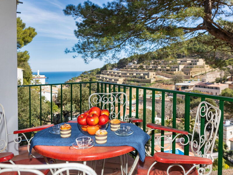 Logement:&nbsp;S'Olivera Nº5 603.5
