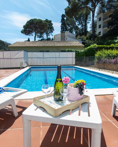 Hector: L'Eau, Plante, Bâtiment, Meubles, Ciel, Piscine, Bleu Azur, Mobilier De Jardin, Maison, Chaise