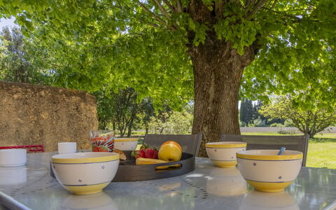 La Grive: Vaisselle, Plante, Vaisselle, Coupe, Table, Arbre, Serveware, Design Intérieur, Pot De Fleur, Ombre